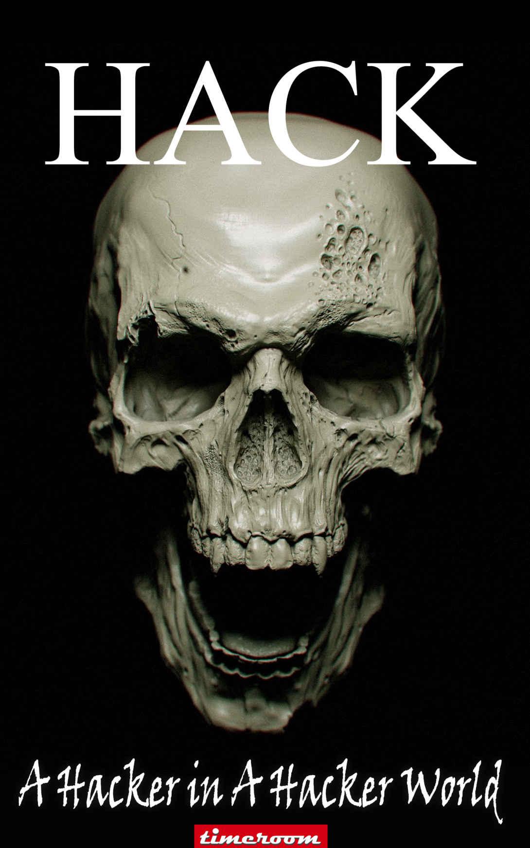 A Hacker In A Hacker World: Doing security penetration, the right way.