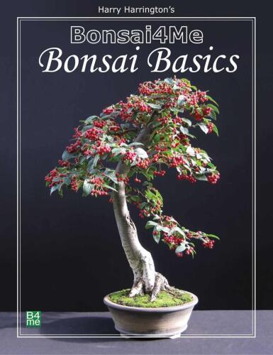 Bonsai4me  Bonsai Basics