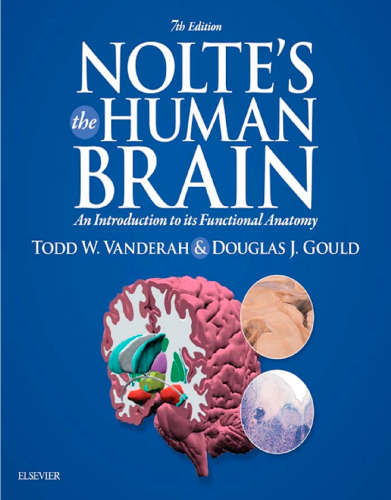 Nolte’s The Human Brain: An Introduction to its Functional Anatomy