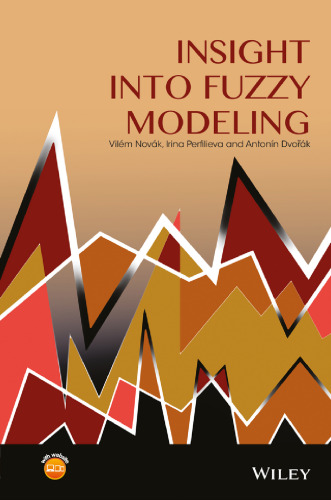 Insight into fuzzy modeling