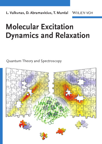 Molecular Excitation Dynamics and Relaxation