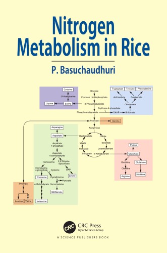 Nitrogen metabolism in rice