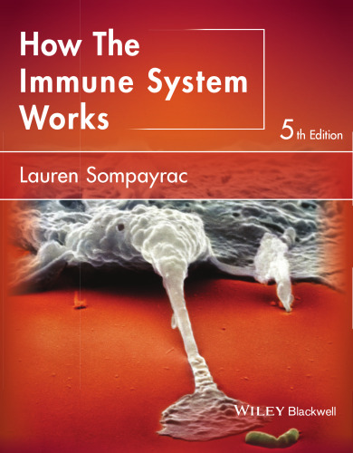 How the immune system works