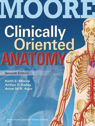 Clinically Oriented Anatomy, 7th edition