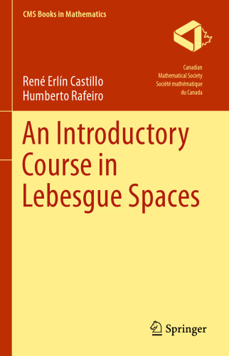 An Introductory Course in Lebesgue Spaces