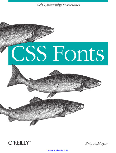 CSS Fonts: Web Typography Possibilities