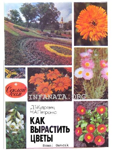КАК ВЫРАСТИТЬ ЦВЕТЫ
