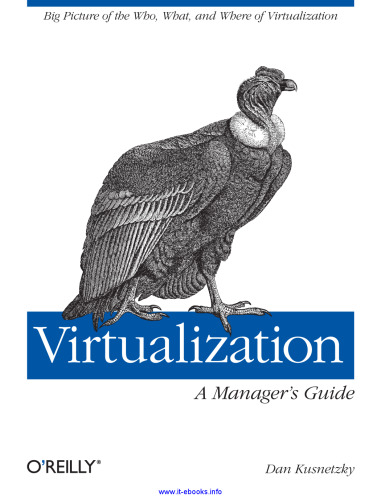 Virtualization: A Manager's Guide: Big picture of the who, what, and where of virtualization