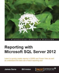 Reporting with Microsoft SQL Server 2012: Learn to quickly create reports in SSRS and Power View as well as understand the best use of each reporting tool