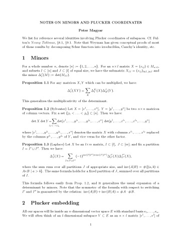 Notes on Minors and Plucker Coordinates