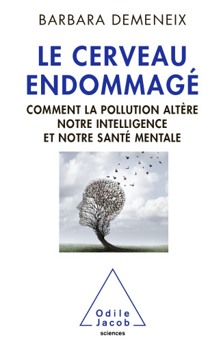 Le cerveau endommagé