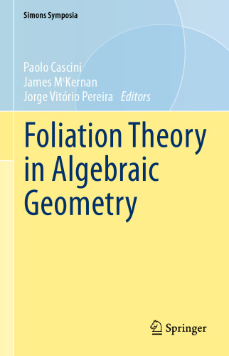 Foliation Theory in Algebraic Geometry