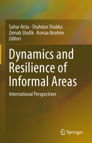 Dynamics and Resilience of Informal Areas: International Perspectives