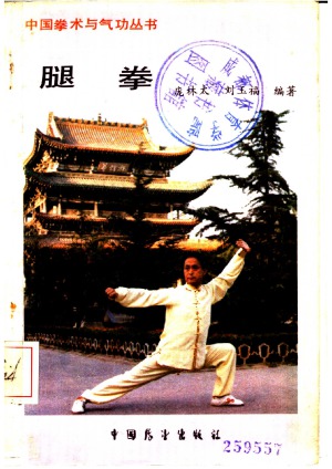 腿拳 庞林太