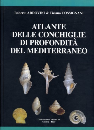 Atlante delle conchiglie di profondità del Mediterraneo