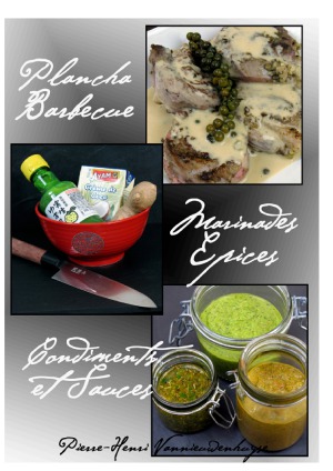 Plancha, Barbecue  Marinades, Epices, Condiments et Sauces