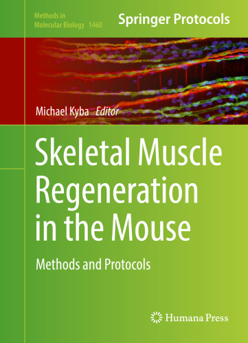 Skeletal Muscle Regeneration in the Mouse: Methods and Protocols