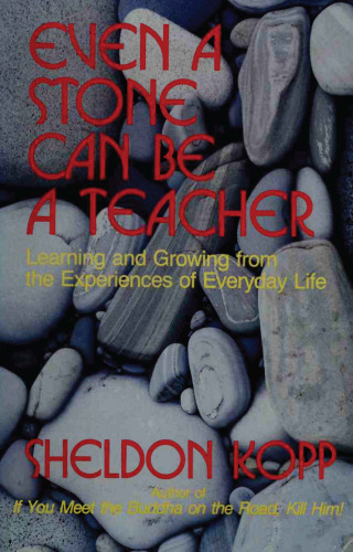 Even a Stone Can Be a Teacher: Learning and Growing from the Experiences of Everyday Life