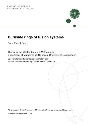 Burnside rings of fusion systems