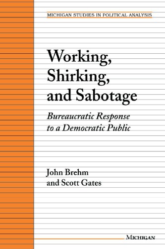 Working, Shirking, and Sabotage: Bureaucratic Response to a Democratic Public