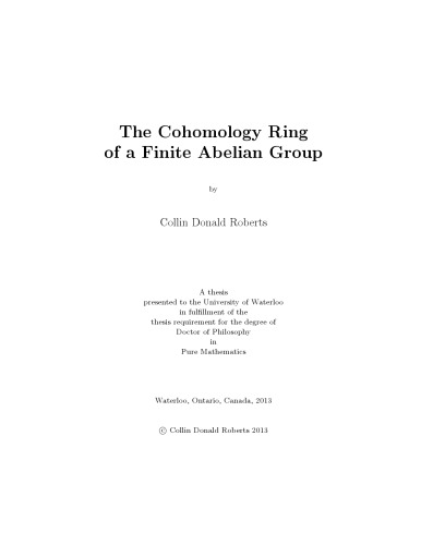 The Cohomology Ring of a Finite Abelian Group