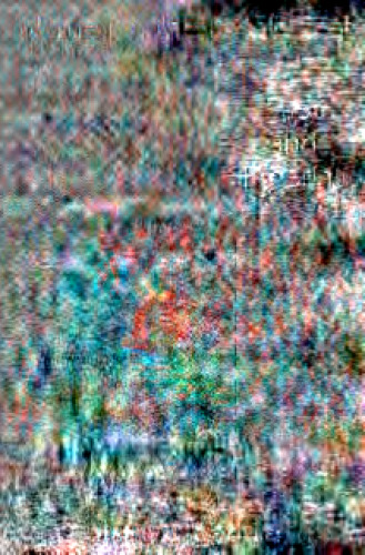 Women in the Middle East: Past and Present