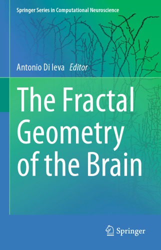 The Fractal Geometry of the Brain
