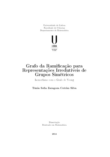 Grafo da ramificação para representações irredutíveis de grupos simétricos: isomorfismo com o Grafo de Young [Master thesis]