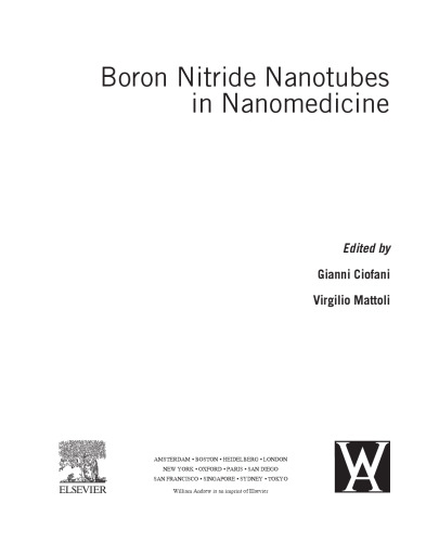 Boron Nitride Nanotubes in Nanomedicine