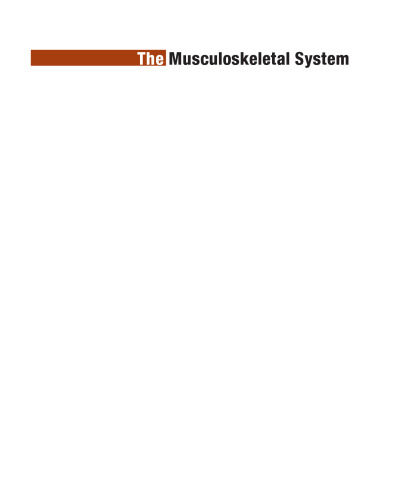 The Musculoskeletal System