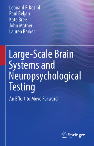 Large-Scale Brain Systems and Neuropsychological Testing: An Effort to Move Forward 