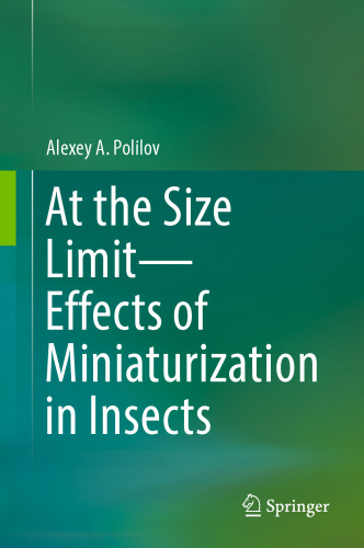 At the Size Limit - Effects of Miniaturization in Insects
