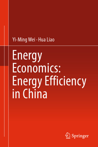 Energy Economics: Energy Efficiency in China