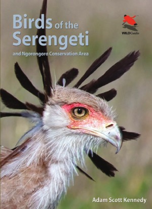 Birds of the Serengeti  And Ngorongoro Conservation Area