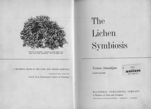 The Lichen Symbiosis