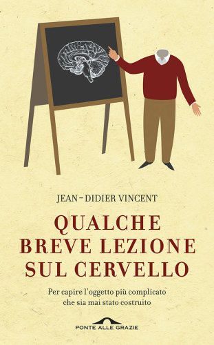 Qualche breve lezione sul cervello