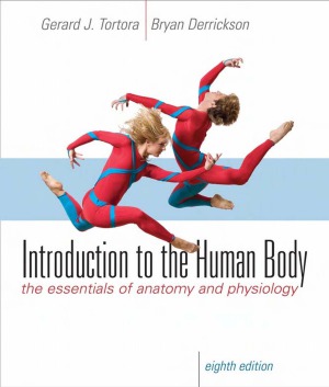 Introduction to the Human Body. The Essentials of Anatomy and Physiology