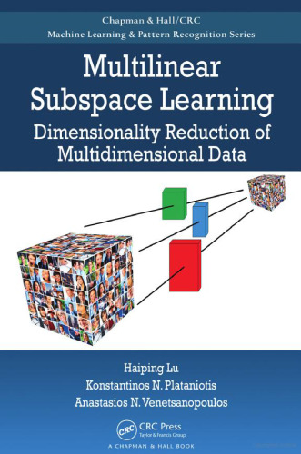 Multilinear subspace learning: dimensionality reduction of multidimensional data