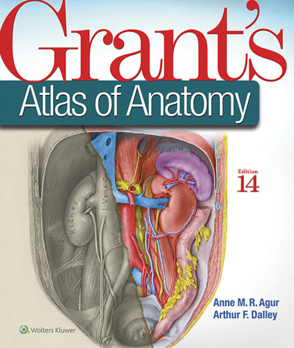 Grant’s Atlas of Anatomy