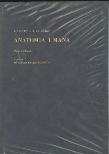 Anatomia Umana