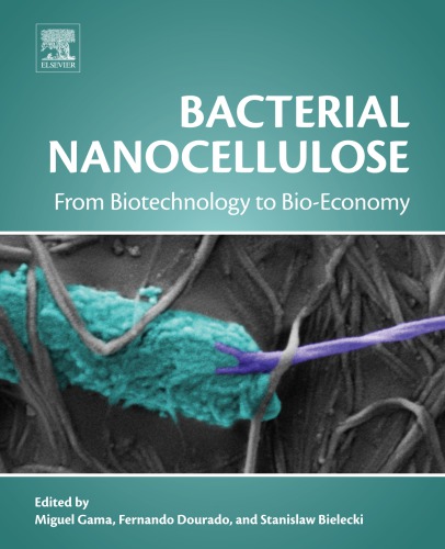 Bacterial nanocellulose: from biotechnology to bio-economy