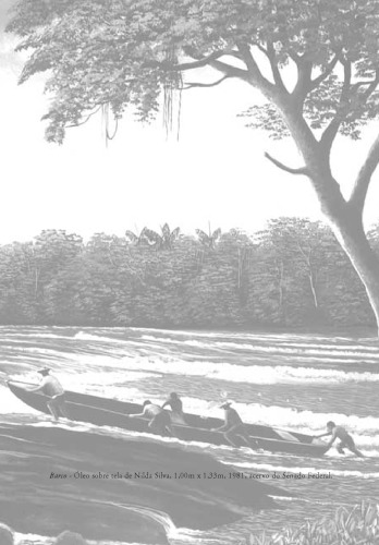 Viagens pelo Amazonas e Rio Negro