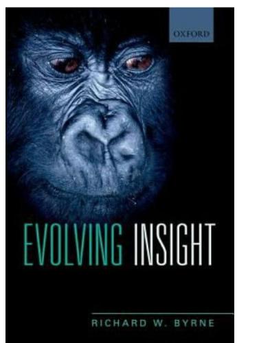 Evolving Insight: How it is we can think about why things happen