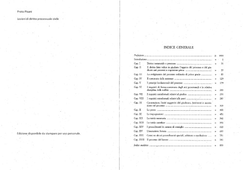 Lezioni di diritto processuale civile