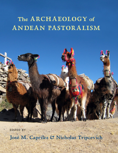 The Archaeology of Andean Pastoralism