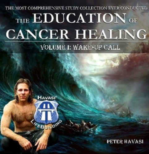 The Education of Cancer Healing