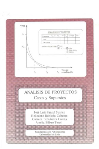 Análisis de proyectos : casos y supuestos