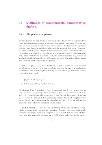 Algebraic Combinatorics, Chapter 13: A glimpse of combinatorial commutative algebra