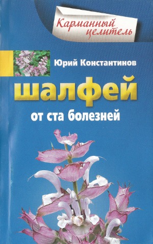 Шалфей от 100 болезней