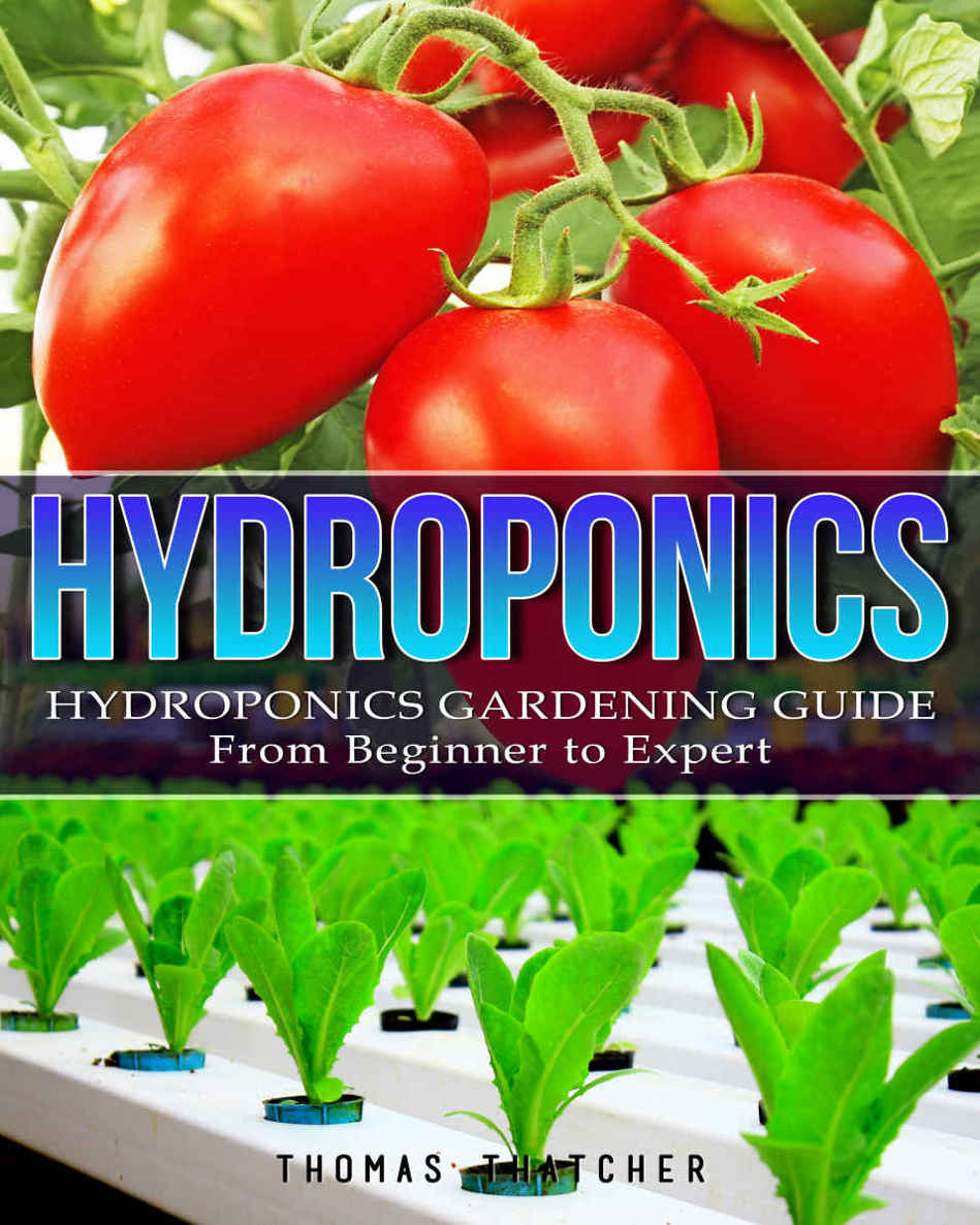 Hydroponics : hydroponics gardening guide from beginner to expert